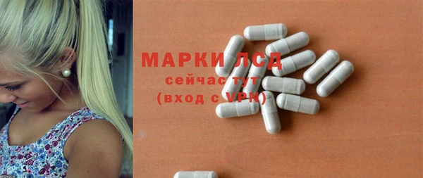 шишки Арсеньев