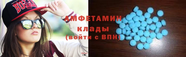шишки Арсеньев