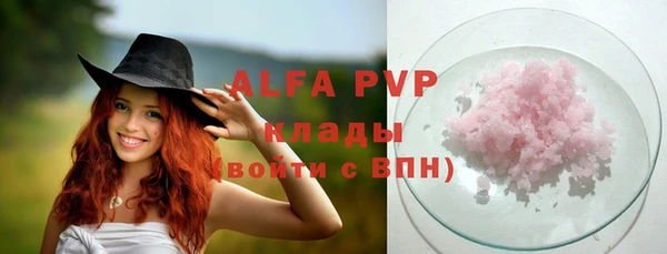 шишки Арсеньев