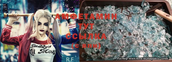шишки Арсеньев
