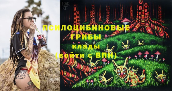 гидра Аркадак