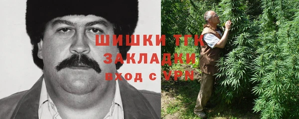 шишки Арсеньев
