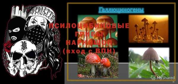 шишки Арсеньев