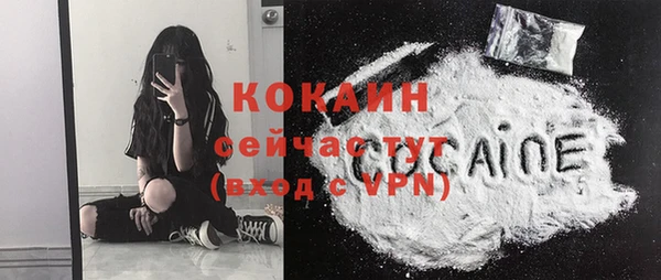 гидра Аркадак