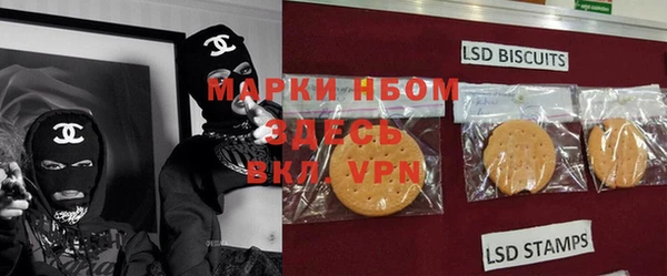 шишки Арсеньев