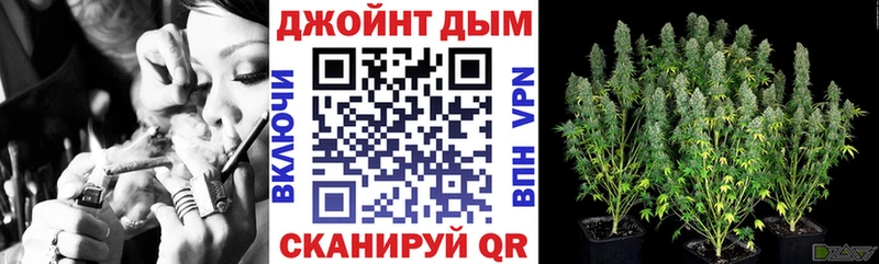 купить наркотики сайты  Славгород  Шишки марихуана MAZAR 